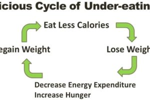 5 Signs You’re a Chronic Under-Eater