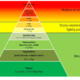 Thermic Effects of Food