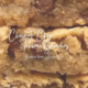 Chocolate Chip Tahini Blondies